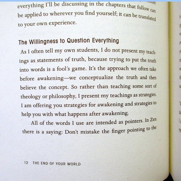 Book: The End of Your World by Adyashanti - Picture 5 of 12